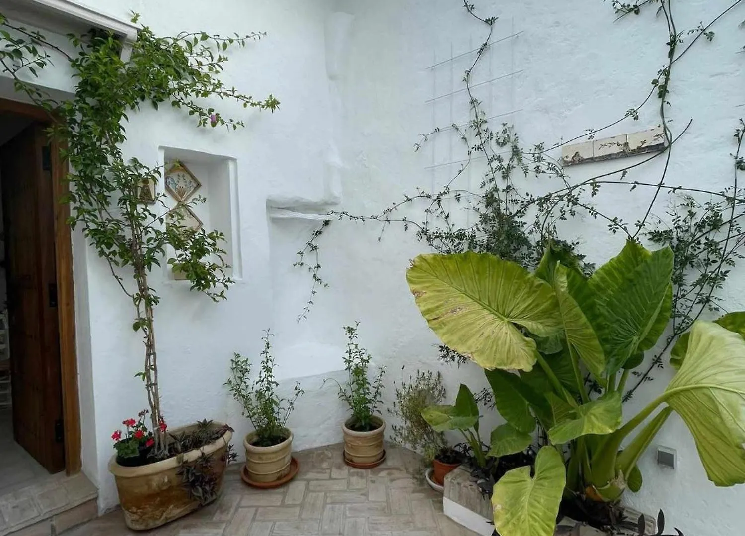 Vila Antiqua Centro De Vejer Con Wifi Grupo Ac Gestion Vejer de la Frontera